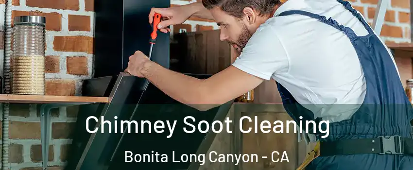 Chimney Soot Cleaning Bonita Long Canyon - CA
