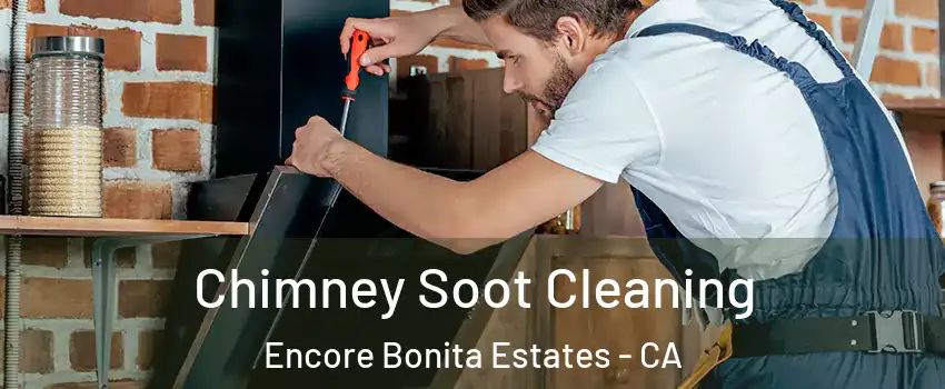 Chimney Soot Cleaning Encore Bonita Estates - CA