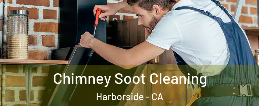 Chimney Soot Cleaning Harborside - CA