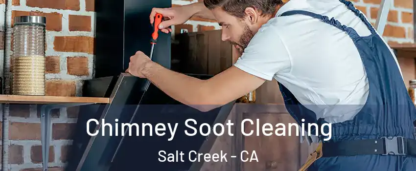 Chimney Soot Cleaning Salt Creek - CA