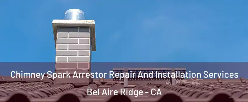 Chimney Spark Arrestor Repair And Installation Services Bel Aire Ridge - CA
