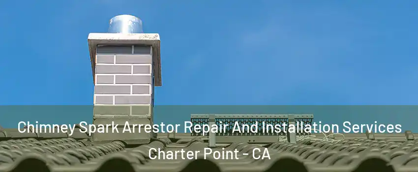Chimney Spark Arrestor Repair And Installation Services Charter Point - CA
