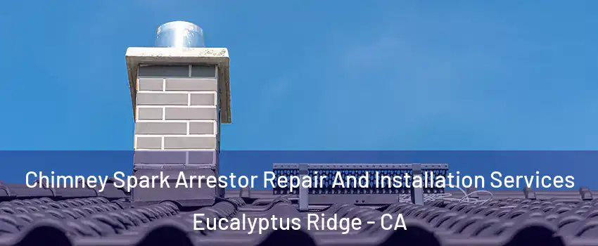 Chimney Spark Arrestor Repair And Installation Services Eucalyptus Ridge - CA