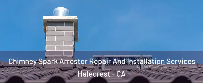 Chimney Spark Arrestor Repair And Installation Services Halecrest - CA