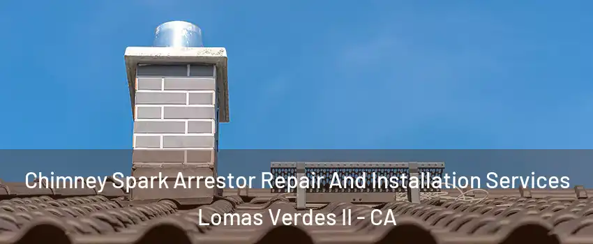 Chimney Spark Arrestor Repair And Installation Services Lomas Verdes II - CA