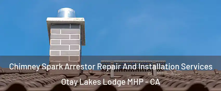 Chimney Spark Arrestor Repair And Installation Services Otay Lakes Lodge MHP - CA