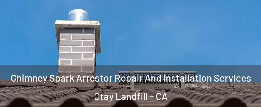 Chimney Spark Arrestor Repair And Installation Services Otay Landfill - CA