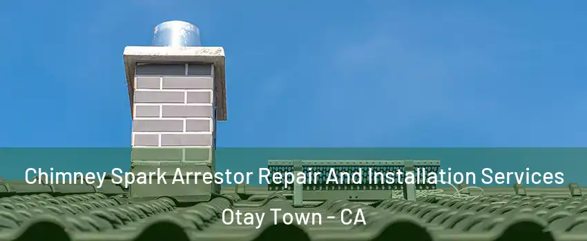 Chimney Spark Arrestor Repair And Installation Services Otay Town - CA