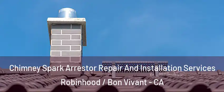 Chimney Spark Arrestor Repair And Installation Services Robinhood / Bon Vivant - CA