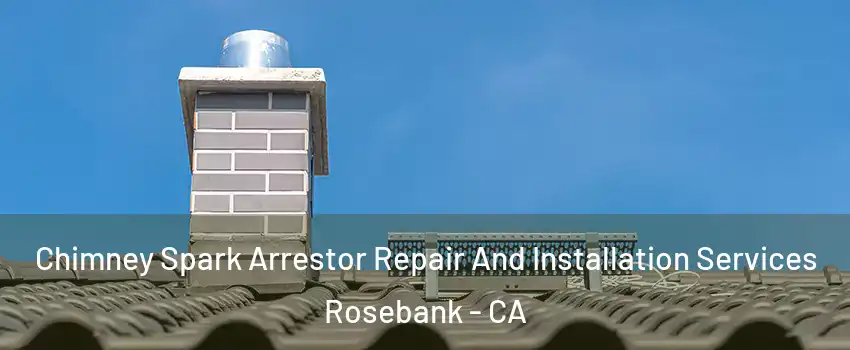 Chimney Spark Arrestor Repair And Installation Services Rosebank - CA