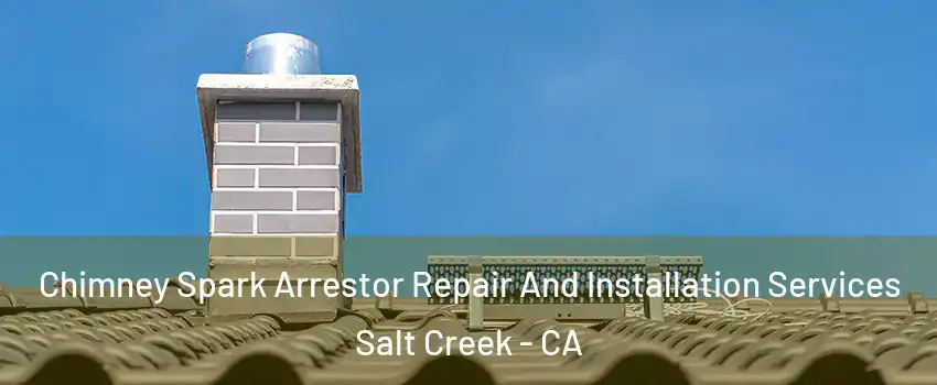 Chimney Spark Arrestor Repair And Installation Services Salt Creek - CA