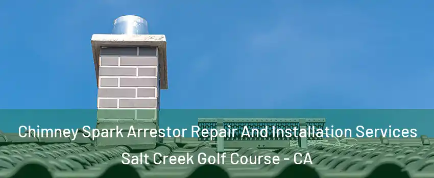 Chimney Spark Arrestor Repair And Installation Services Salt Creek Golf Course - CA