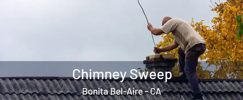 Chimney Sweep Bonita Bel-Aire - CA