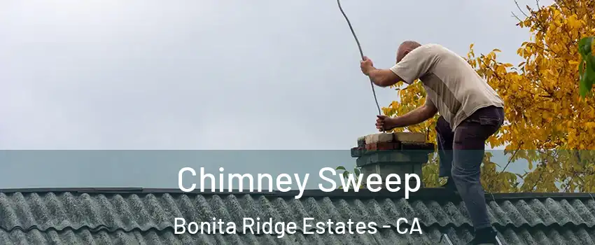 Chimney Sweep Bonita Ridge Estates - CA