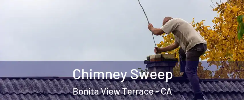 Chimney Sweep Bonita View Terrace - CA