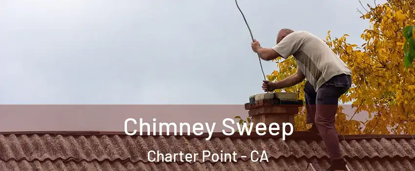 Chimney Sweep Charter Point - CA
