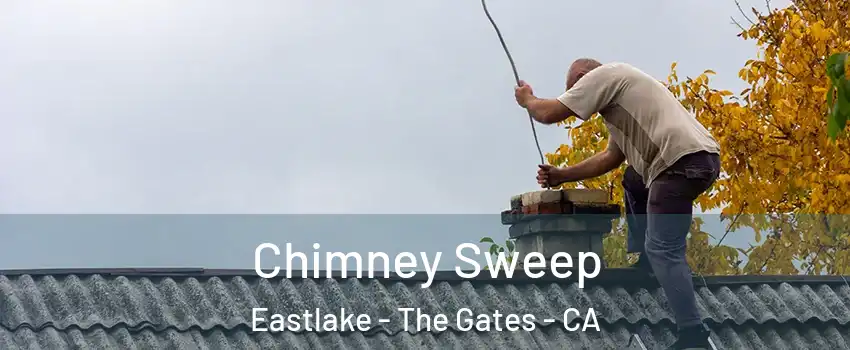 Chimney Sweep Eastlake - The Gates - CA
