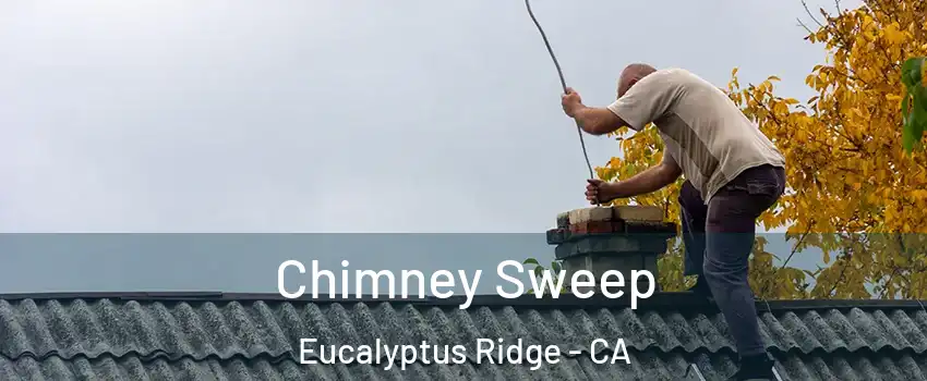 Chimney Sweep Eucalyptus Ridge - CA