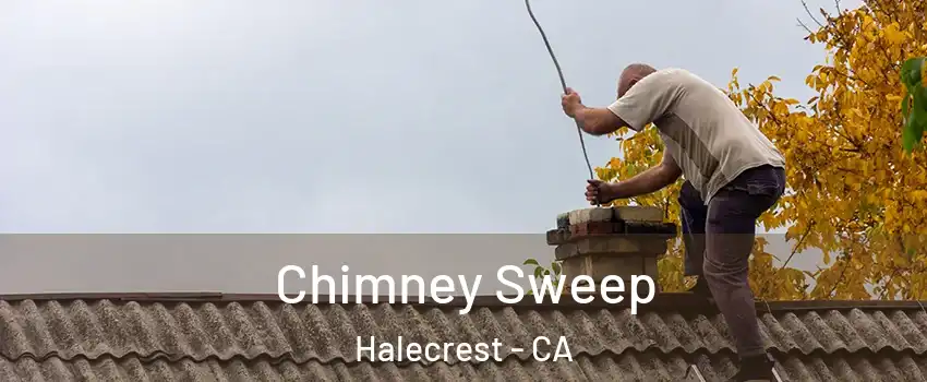 Chimney Sweep Halecrest - CA