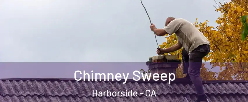 Chimney Sweep Harborside - CA