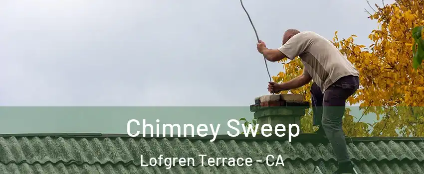 Chimney Sweep Lofgren Terrace - CA