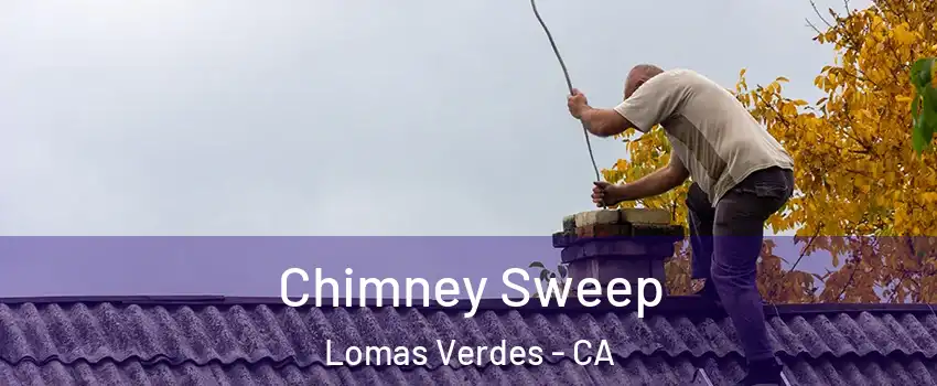 Chimney Sweep Lomas Verdes - CA