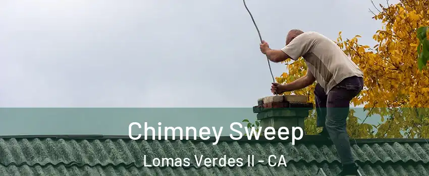 Chimney Sweep Lomas Verdes II - CA