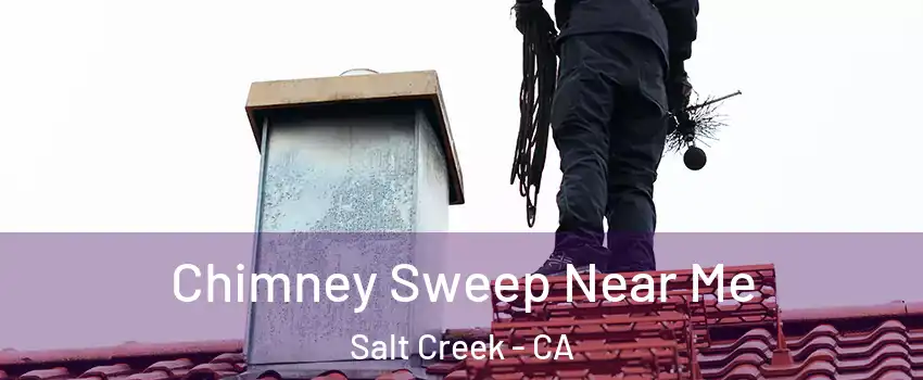 Chimney Sweep Near Me Salt Creek - CA