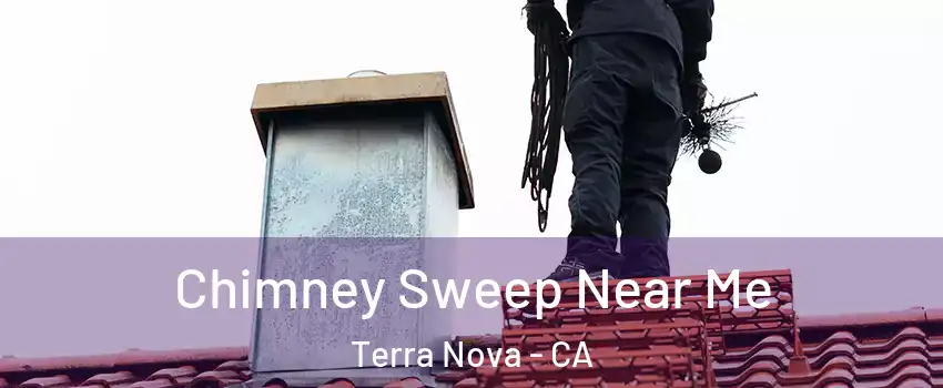 Chimney Sweep Near Me Terra Nova - CA