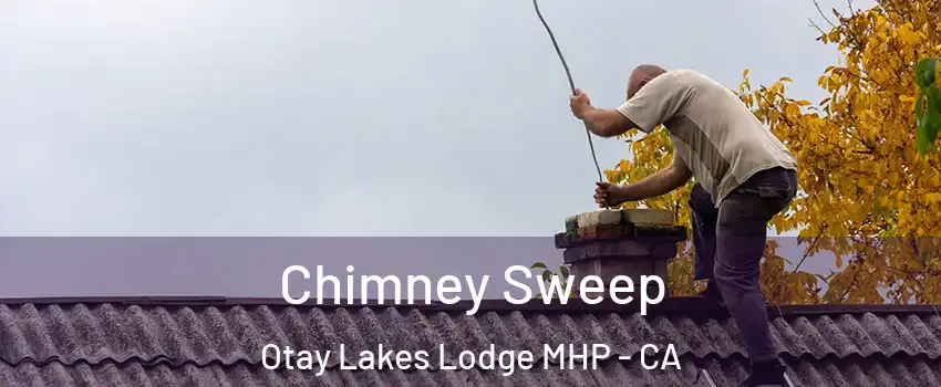 Chimney Sweep Otay Lakes Lodge MHP - CA