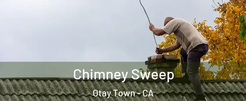 Chimney Sweep Otay Town - CA