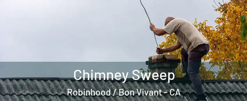 Chimney Sweep Robinhood / Bon Vivant - CA