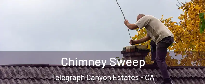 Chimney Sweep Telegraph Canyon Estates - CA