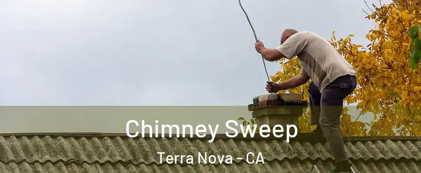 Chimney Sweep Terra Nova - CA