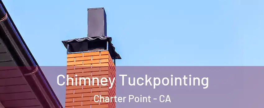 Chimney Tuckpointing Charter Point - CA