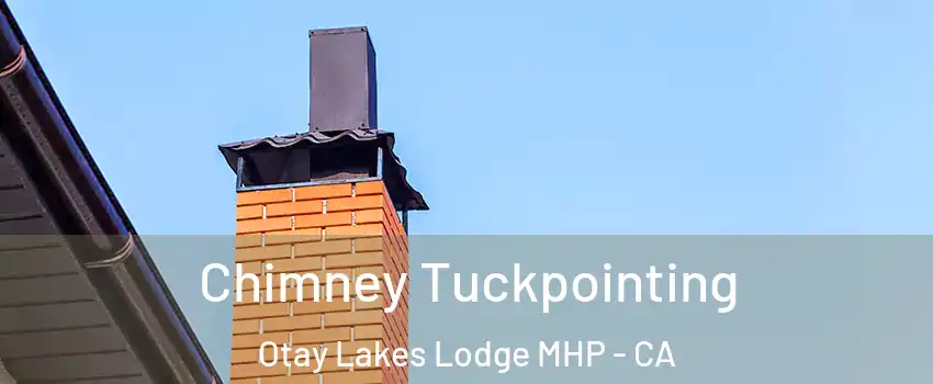 Chimney Tuckpointing Otay Lakes Lodge MHP - CA