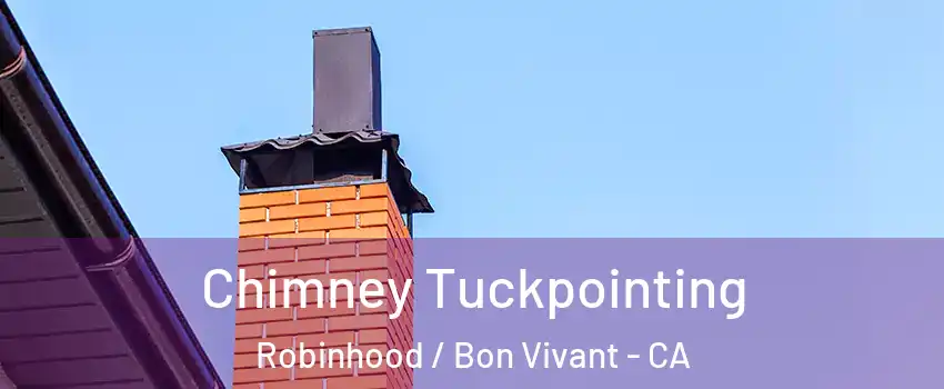 Chimney Tuckpointing Robinhood / Bon Vivant - CA