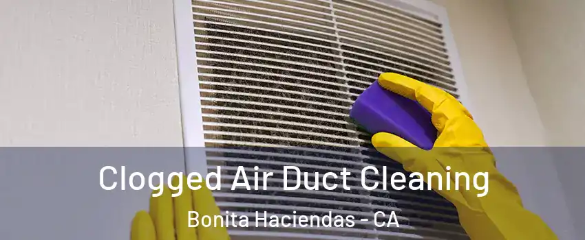 Clogged Air Duct Cleaning Bonita Haciendas - CA