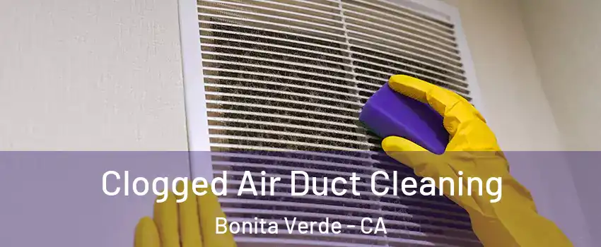Clogged Air Duct Cleaning Bonita Verde - CA