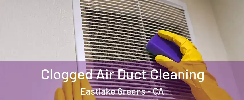 Clogged Air Duct Cleaning Eastlake Greens - CA