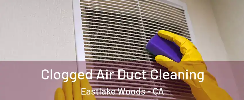 Clogged Air Duct Cleaning Eastlake Woods - CA