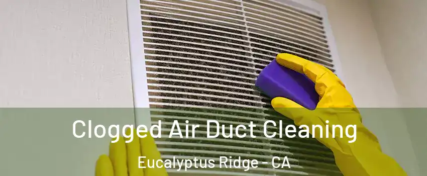 Clogged Air Duct Cleaning Eucalyptus Ridge - CA