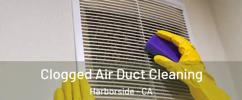 Clogged Air Duct Cleaning Harborside - CA