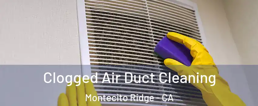 Clogged Air Duct Cleaning Montecito Ridge - CA