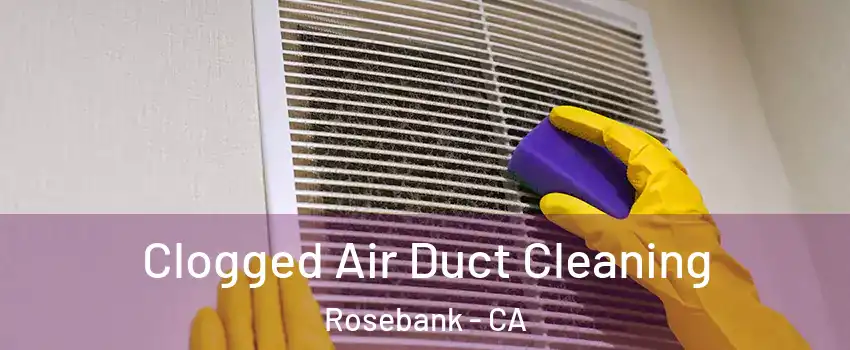 Clogged Air Duct Cleaning Rosebank - CA