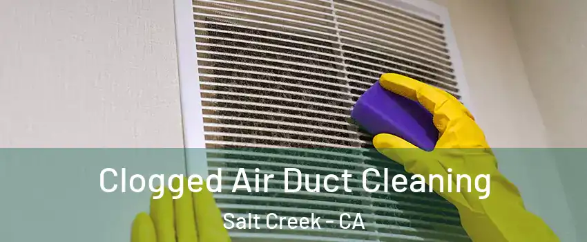 Clogged Air Duct Cleaning Salt Creek - CA