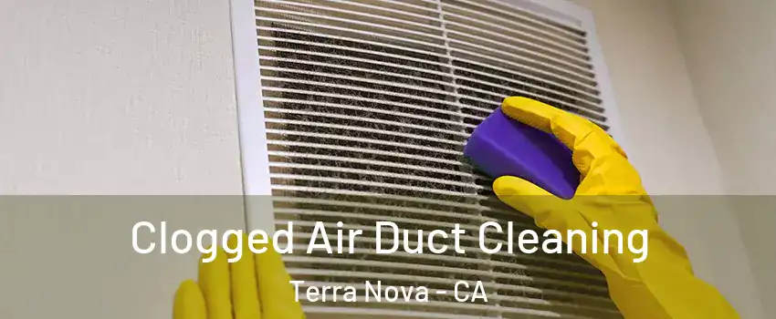 Clogged Air Duct Cleaning Terra Nova - CA