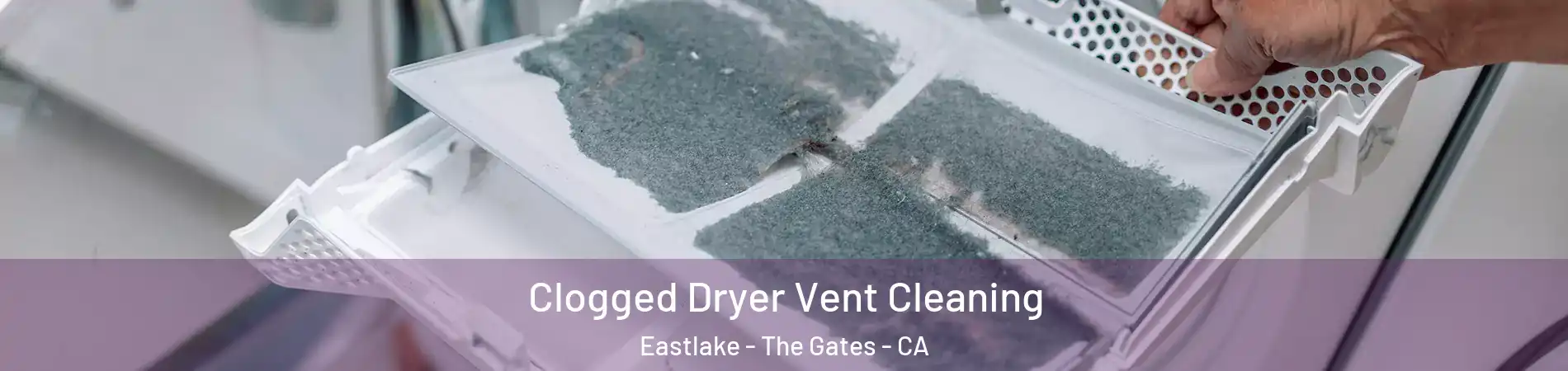 Clogged Dryer Vent Cleaning Eastlake - The Gates - CA