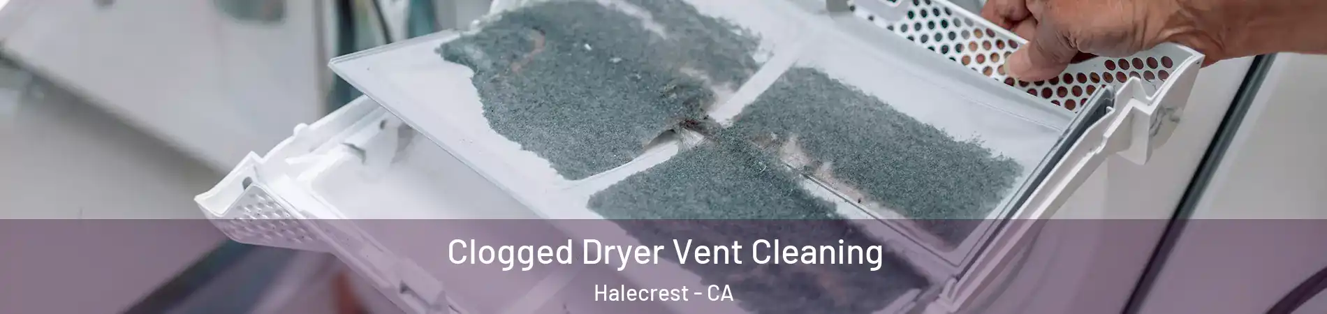 Clogged Dryer Vent Cleaning Halecrest - CA