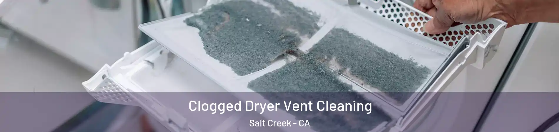 Clogged Dryer Vent Cleaning Salt Creek - CA